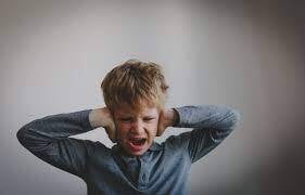 Gestion du Stress et de l'Anxiété chez l'Enfant Autiste